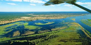 Delta synonyms, delta pronunciation, delta translation, english dictionary definition of delta. Okavango Delta Botswana Reisen Informationsportal