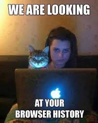 Memes Telegram Channel Funny Animal Pictures Funny Captions Funny Animals