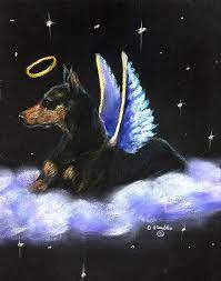 High quality doberman angel gifts and merchandise. Doberman Pinscher Black Angel Pastel By Darlene Grubbs