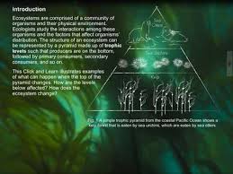 Some Animals Are More Equal Than Others Keystone Species And Trophic Cascades Hhmi Biointeractive Keystone Species Science Nature Trophic Level
