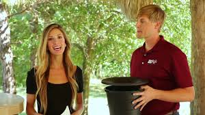 If you're not sure about these methods or unfamiliar with how it all works, we're here to lay it out for you. Mosquito Control Houston Tx Abc Home Commercial Services