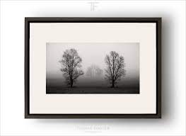 Art Photography Photographic Art Black And White Wall Art Nature Landscape Trees Vision Misty Fog Photography Prints Art Framing Photography Landscape