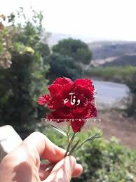 اسم وفاء broken heart wallpaper heart wallpaper flower fashion