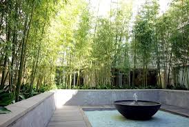 Bamboo is used in this idea in two different ways. 56 Ideas For Bamboo In The Garden Out Of Sight Or Decoration Interior Design Ideas Ofdesign