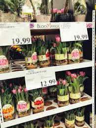Floral sales with bouquets of roses or other flowers are also available content in these weekly ads. Costco Flowers Beautiful Flowers As Low As 9 99 Bouquet