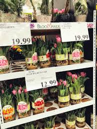 Maybe you would like to learn more about one of these? Costco Flowers Beautiful Flowers As Low As 9 99 Bouquet