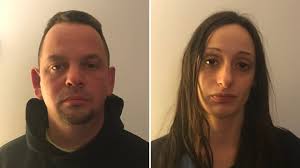 2 arrested after over 20 animals found inside Long Island home: police