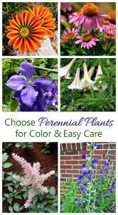 After planting, just sit back and appreciate the colors and smells of these beautiful easy plants to grow. Growing Perennials How To Grow Perennial Plants The Gardening Cook