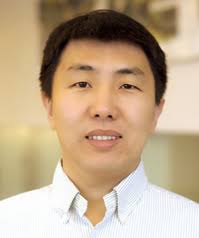 Dynamic Humanoid Locomotion: A Scalable Formulation for HZD Gait  Optimization