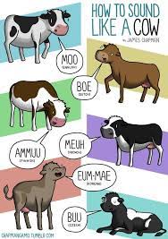 Animal Sounds In Different Languages Animal Sounds Different Languages Language