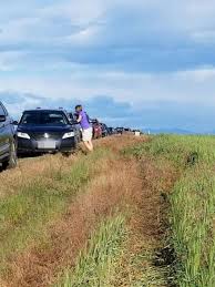 Be calm, assess the situation, and decide on a strategy to get the car out of the mud. Google Maps Shortcut In Colorado Turns Into Muddy Mess With A Hundred Cars Abc News