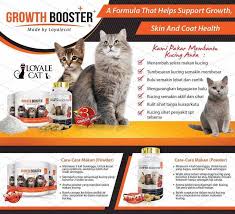 Maybe you would like to learn more about one of these? Habis Bulu Kucing Gugur Cat Booster Supplements Facebook