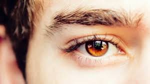 Learn About The Origin Of Amber Eyes In People Guy Counseling