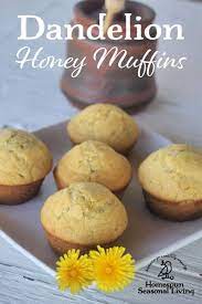 Dandelion Muffins Recipe Honey Muffins Food Dandelion Recipes