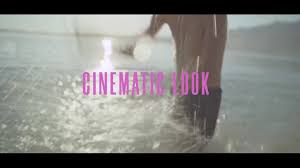 Mkv dosyalarını doğrudan premiere pro'ya aktarmak mümkün değil. 420 Cinematic Color Presets 15 Vhs Video Effects Old Film Looks Videohive 24589977 Download Direct Premiere Pro