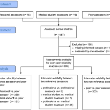 Flow Chart 111 Peer Instructors 10 Medical Students And 15