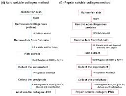 A Flowchart For The Isolation Of Collagen From Marine Fish