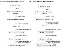 a flowchart for the isolation of collagen from marine fish