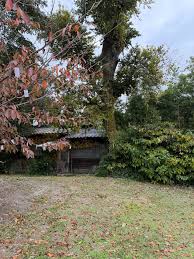 オノヨーコ 実家