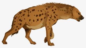 Hyena Png Images Free Transparent Hyena Download Kindpng Download this premium vector about cute hyena cartoon, and discover more than 10 million professional graphic resources on freepik. hyena png images free transparent