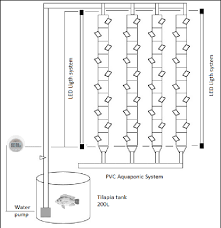 Pvc Vertical Aquaponic System With O Niloticus And Aromatic Plants Download Scientific Diagram