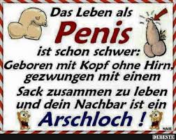 Das Leben Lustige Bilder Spruche Witze Echt Lustig