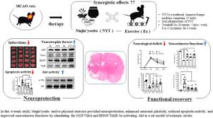 Image result for Erythrococca ulugurensis