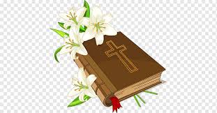 149 imágenes gratis de biblia abierta. Libro De Lily Y Biblia Libro De La Biblia Libro Lirio Png Pngwing
