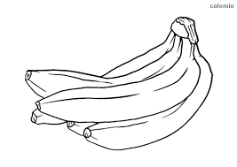 869x651 banana coloring page pictures design pages split printable tree 1024x923 new bananas coloring pages gallery printable coloring sheet Bananas Coloring Pages Free Printable Banana Coloring Sheets