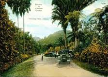 Castleton Botanical Gardens