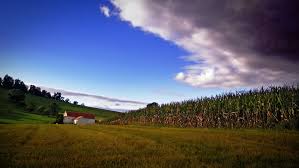 Maybe you would like to learn more about one of these? Can We Feed Our World Without Monsanto Our World
