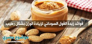 فوائد زبدة الفول السوداني لزيادة الوزن بشكل رهيب عند الدخول في مجال كمال الاجسام يجب عليك ان تنتظم في الغذاء الذي يحتوي علي دهون قلي peanut butter food peanut