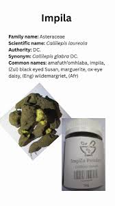 Image result for Callilepis laureola