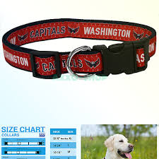 Pets First Nhl Washington Capitals Collar For Dogs Cats Large Adjustabl 849790077768 Ebay