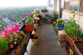 Toronto Balcony Gardening Overlooking A City Summer Sunset Home Garden Design Small Balcony Garden Small Balcony Design