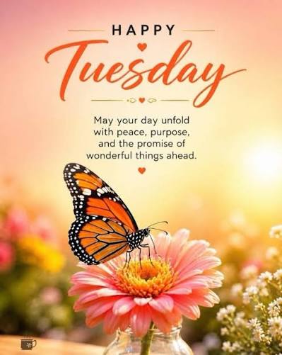 Good morning to y'all , have a lovely Tuesday..