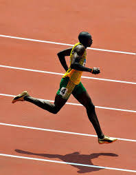 How are the results calculated? Cual Es La Maxima Velocidad De Carrera Humana