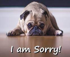 I Am Sorry In Tagalog Tagalog I Am Sorry Learning Languages