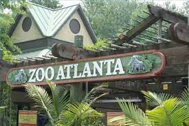 Zoo Atlanta Georgia Atlanta Zoo Homeschool Field Trips Atlanta
