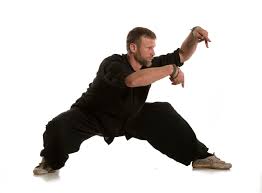 Different styles of fighting using kicks, punches, acrobatic moves and weapons. Praying Mantis Kungfu