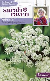 The best spot for planting your flower garden is one that will get full sun for at least six to eight hours a day. Sarah Raven Cut Flowers Ammi Majus Seed Gardening For All