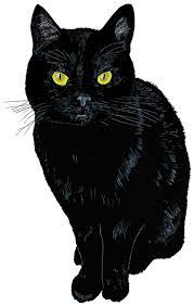 The Book Black Cat Tattoos Black Cat Illustration Black Cat Art