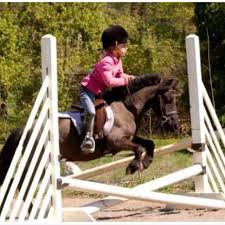 Cross Rails W Mini So Stinkin Cute If I Have A Child This Will Be Them Mini Horse Horse Crazy Cute Horses