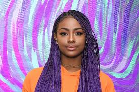 Braids are very simple to make and are a great way to say goodbye to the stress of hairstyling. 16 Purple Braided Summer Styles Cool Braid Hairstyles