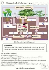 Nitrogen Cycle Worksheet Answer Key Em 2020