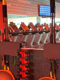 Optimizing Fitness: Tailoring Plans with Body Composition and VO2 Max  Insights