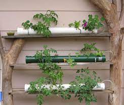 Basic Shelf System Hydroponics Diy Hydroponic Farming Aquaponics