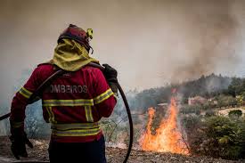 Não há registro de vítimas, de acordo com os bombeiros. Cinquenta Municipios Do Interior Norte E Centro E Do Algarve Em Risco Maximo De Incendio