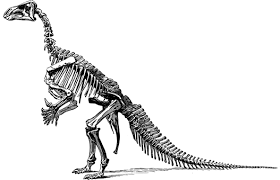 Want to discover art related to dinosaurbone? 1 000 Dinosaur Pictures Images For Free Hd Pixabay