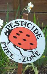 It's a common question for people who want to maintain an organic yard or garden. Vow To Garden Without Pesticides And Get A Free Ladybug Sign Queenanneview Queen Anne View